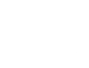 ess logo ess logo